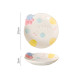 Porcelain Plate